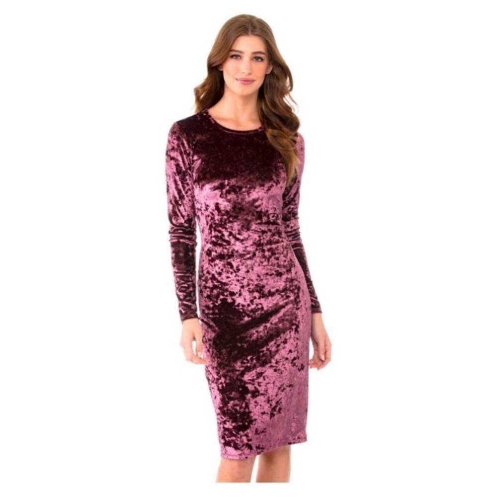 Michael Kors Velvet Long Sleeve Dress in Pink
